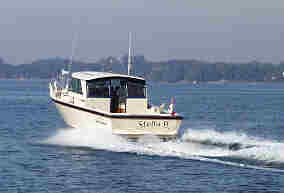 Stella B. scooting through the “Forty Acres”