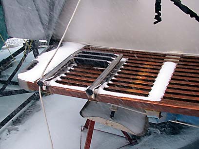 swim ladder in winter